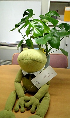 kero