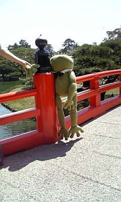 橋とケロ