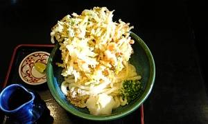 udon