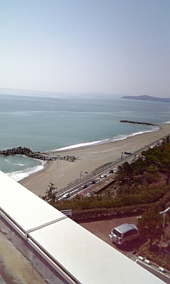 桂浜