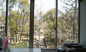 窓からの眺め