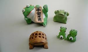 カエルの仲間