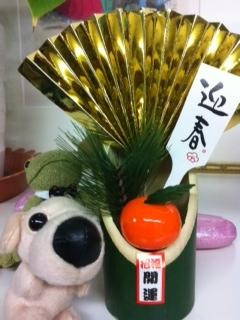 お玉chan