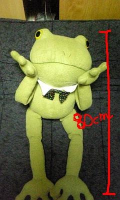 80cm