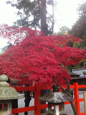 吉田神社